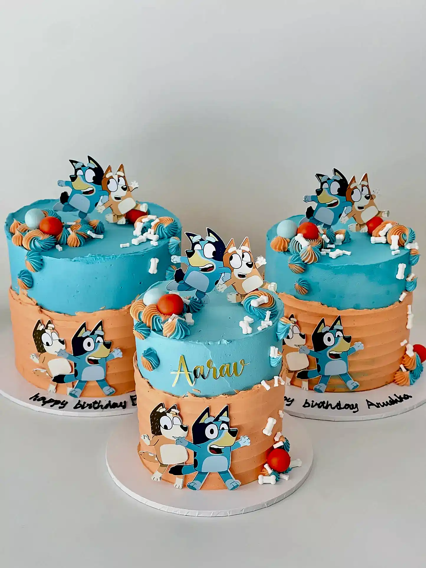 Bluey Cake